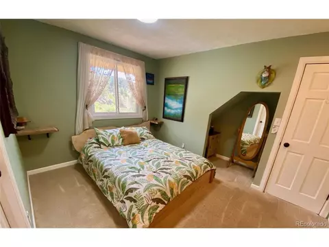 126 S Circle Dr, Bailey, CO 80421 photo 19