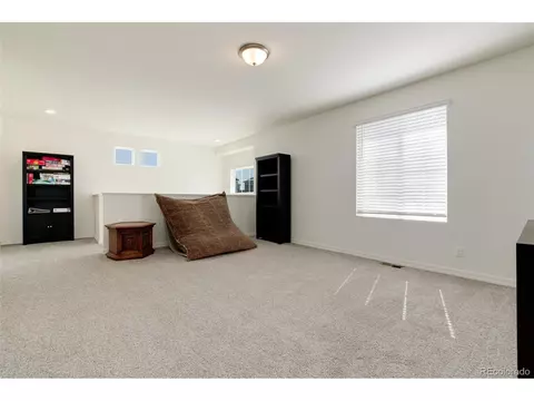 22017 E 45th Pl, Aurora, CO 80019 photo 33