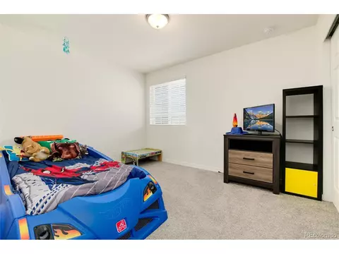 22017 E 45th Pl, Aurora, CO 80019 photo 30