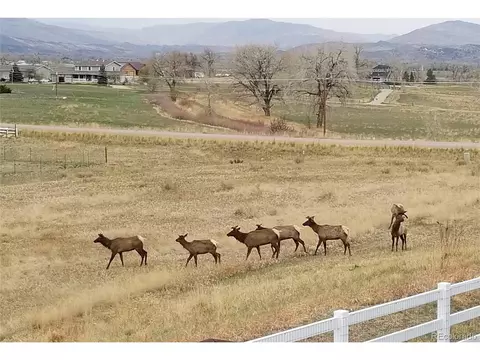 3511 Curlew Dr, Berthoud, CO 80513 photo 37