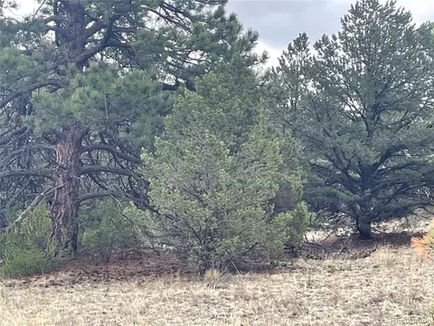 0 L Path, Cotopaxi, CO 81223