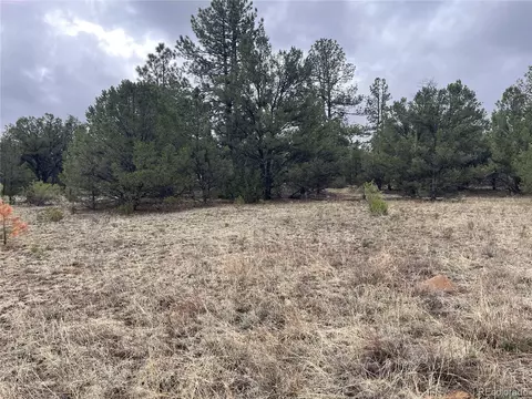 0 L Path, Cotopaxi, CO 81223 photo 12