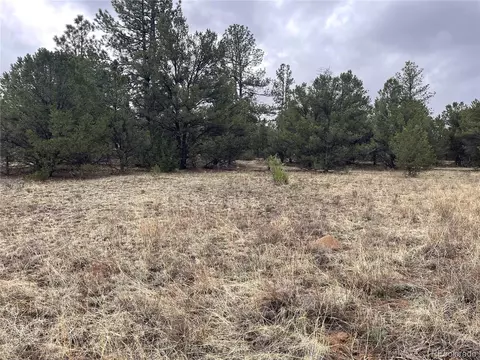 0 L Path, Cotopaxi, CO 81223 photo 14