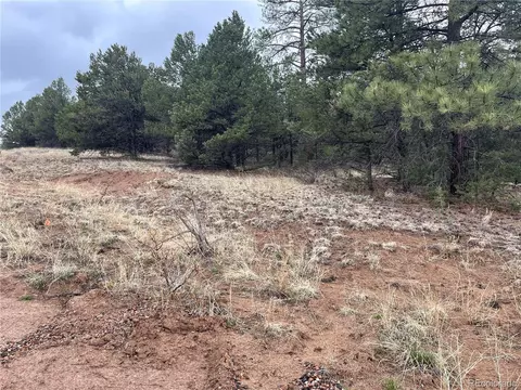 0 L Path, Cotopaxi, CO 81223 photo 10