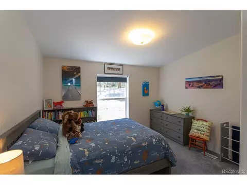 866 Lodge Pole Dr, Black Hawk, CO 80422 photo 36