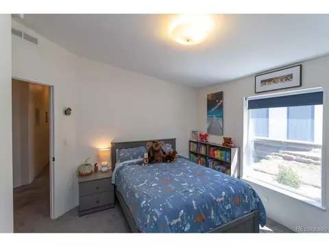 866 Lodge Pole Dr, Black Hawk, CO 80422 photo 37