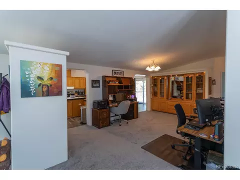 866 Lodge Pole Dr, Black Hawk, CO 80422 photo 24