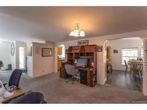 866 Lodge Pole Dr, Black Hawk, CO 80422 photo 23