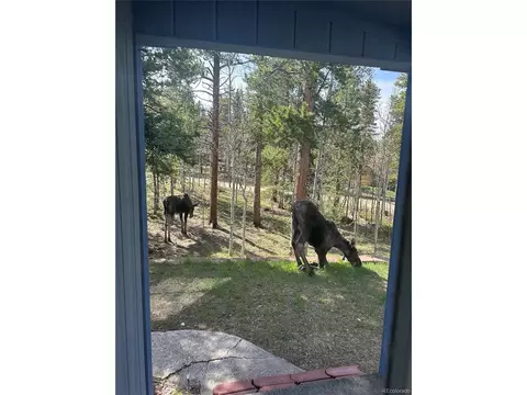 866 Lodge Pole Dr, Black Hawk, CO 80422 photo 41