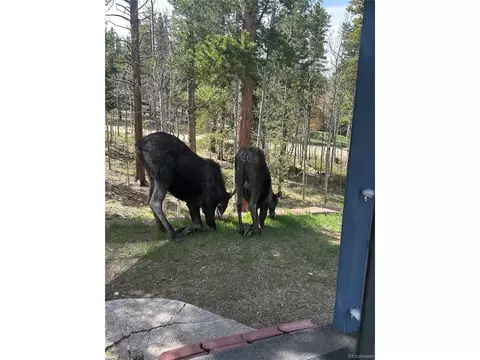 866 Lodge Pole Dr, Black Hawk, CO 80422 photo 40