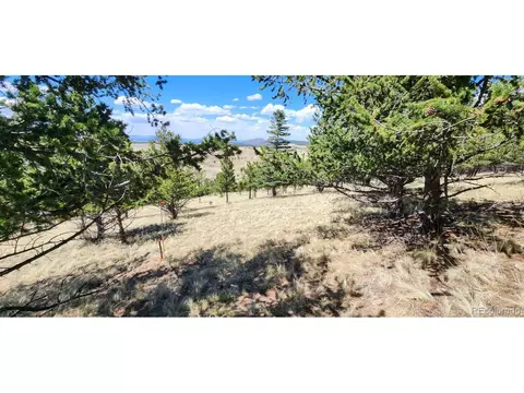 515 Gameridge Rd, Westcliffe, CO 81252