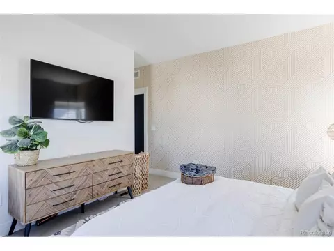 10141 E 59th Dr, Denver, CO 80238 photo 19