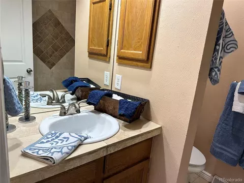 2923 E 123rd Ave, Thornton, CO 80241 photo 15