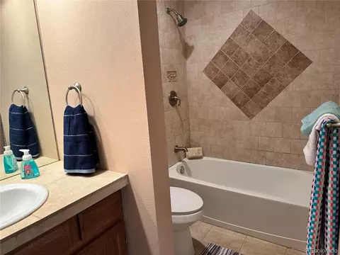 2923 E 123rd Ave, Thornton, CO 80241 photo 19