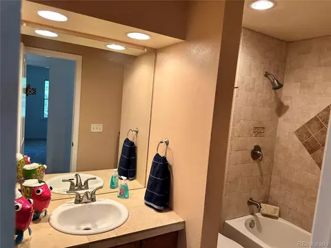 2923 E 123rd Ave, Thornton, CO 80241 photo 20