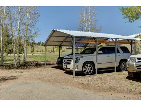 796 Singletree Rd, Hartsel, CO 80449 photo 8