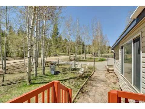 796 Singletree Rd, Hartsel, CO 80449 photo 5