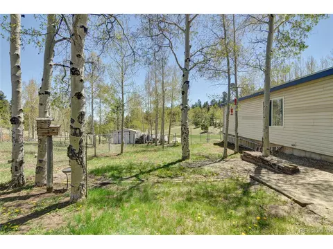 796 Singletree Rd, Hartsel, CO 80449 photo 7