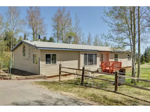 796 Singletree Rd, Hartsel, CO 80449 photo 4