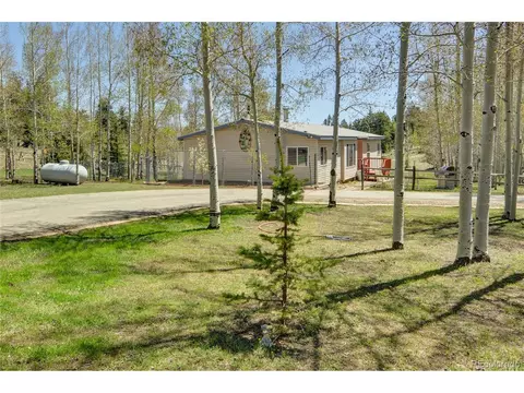 796 Singletree Rd, Hartsel, CO 80449 photo 3