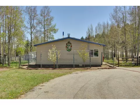796 Singletree Rd, Hartsel, CO 80449 photo 11