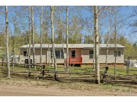 796 Singletree Rd, Hartsel, CO 80449 photo 2