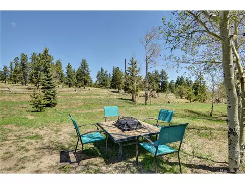 796 Singletree Rd, Hartsel, CO 80449 photo 10