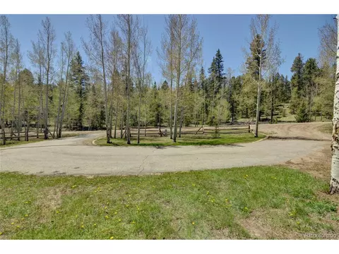 796 Singletree Rd, Hartsel, CO 80449 photo 6