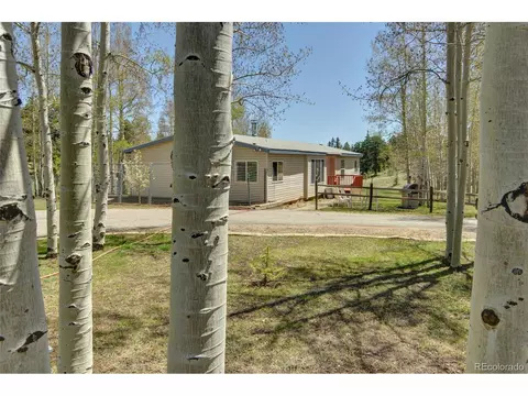 796 Singletree Rd, Hartsel, CO 80449 photo 12