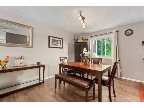9 Rose Ct, Windsor, CO 80550 photo 12