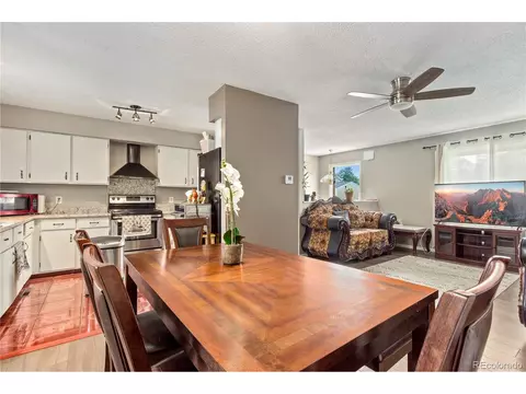 9 Rose Ct, Windsor, CO 80550 photo 11