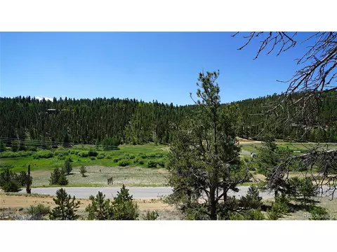 View/Area - 261 Wilkins Rd, Bailey, CO 80421 photo 2 of 9