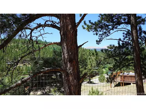 Other - 261 Wilkins Rd, Bailey, CO 80421 photo 6 of 14