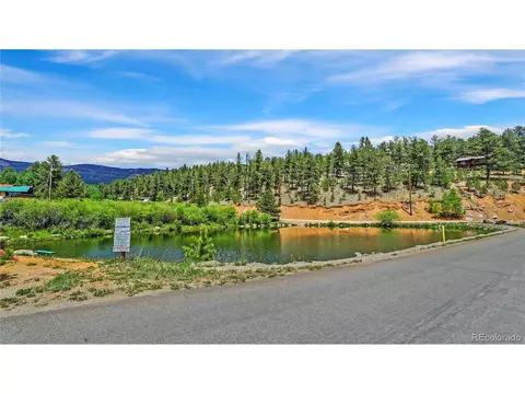 View/Area - 261 Wilkins Rd, Bailey, CO 80421 photo 8 of 9