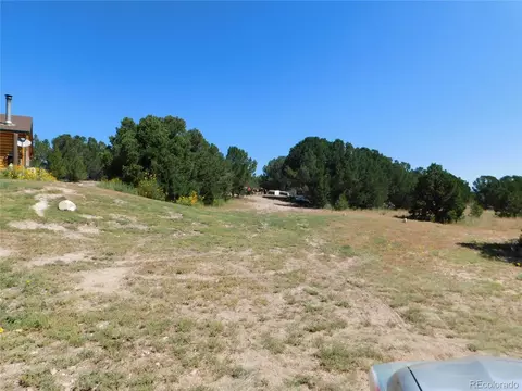 1662 20th Trl, Cotopaxi, CO 81223 photo 32