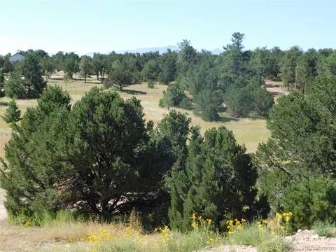 1662 20th Trl, Cotopaxi, CO 81223 photo 16