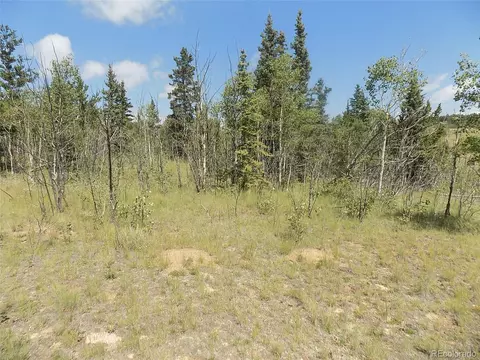 1070 Warrior Cir, Como, CO 80432 photo 1