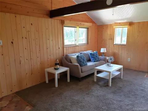 84 Neal St, Bailey, CO 80421 photo 4