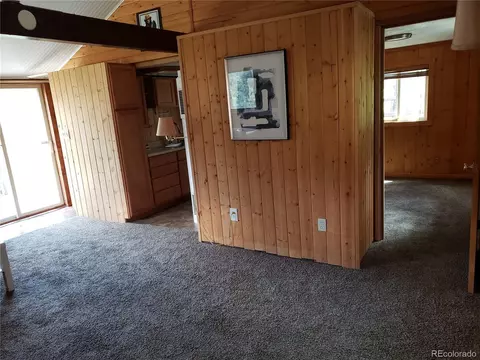 84 Neal St, Bailey, CO 80421 photo 6