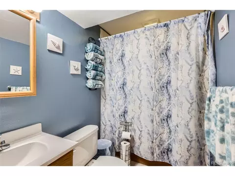 4533 S Devinney St, Morrison, CO 80465 photo 23
