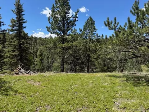 209 Kenosha Cir, Divide, CO 80814
