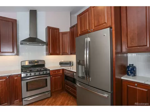 1011 Rainbow Dr, Silverthorne, CO 80498 photo 10