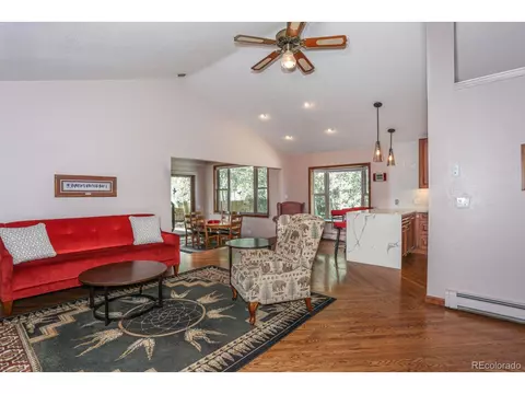1011 Rainbow Dr, Silverthorne, CO 80498 photo 2
