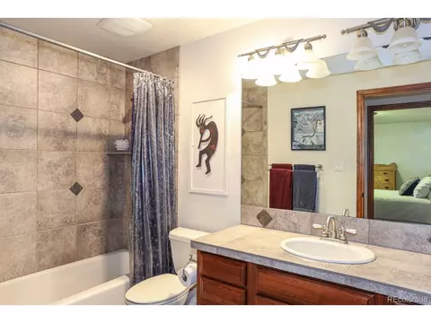 1011 Rainbow Dr, Silverthorne, CO 80498 photo 19