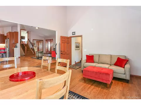 1011 Rainbow Dr, Silverthorne, CO 80498 photo 8