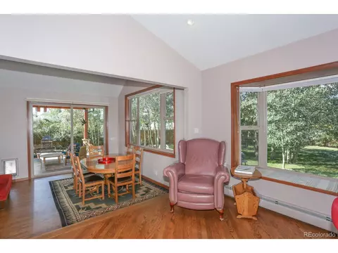 1011 Rainbow Dr, Silverthorne, CO 80498 photo 6