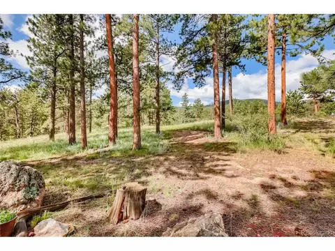 372 Old Corral Rd, Bailey, CO 80421 photo 26