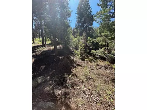 9465 Ute Rd, Cascade, CO 80809 photo 2