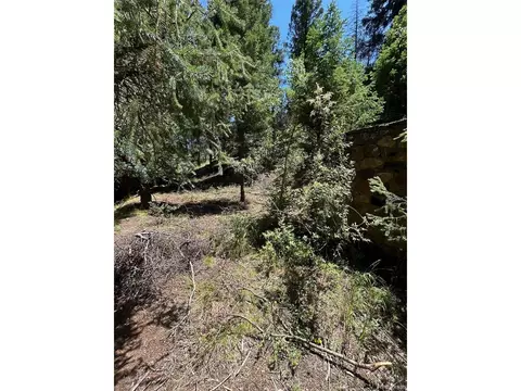9465 Ute Rd, Cascade, CO 80809 photo 4