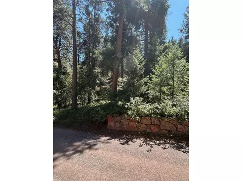 9465 Ute Rd, Cascade, CO 80809 photo 1